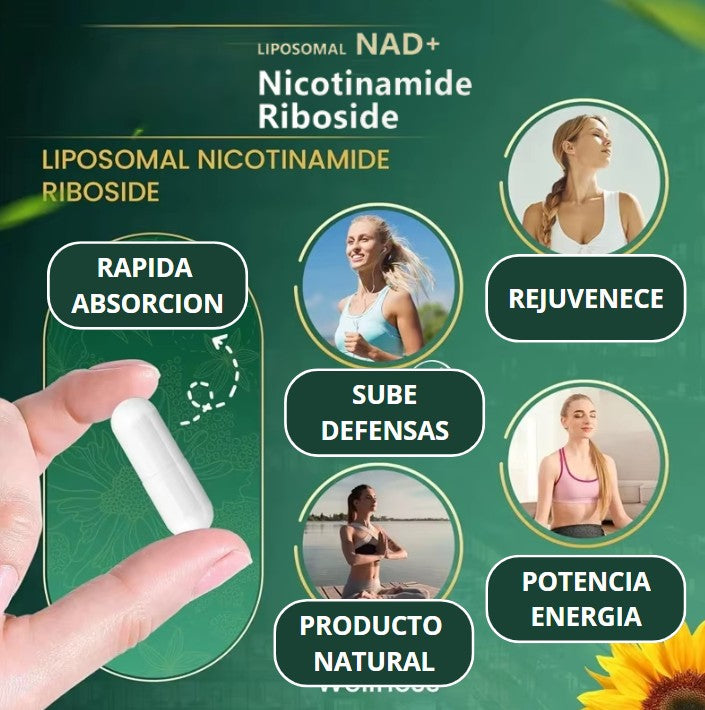 Liposomal NAD+ resveratrol nicotinamide